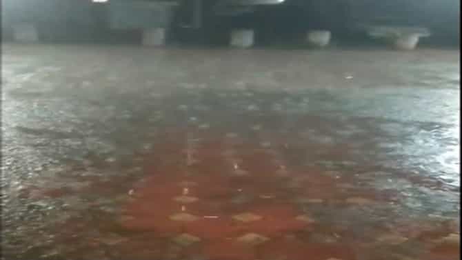 निफाड परिसरात रिमझिम पाऊस, वातावरणात पसरला गारवा; अनेक पिकांना फटका बसण्याची शक्यता