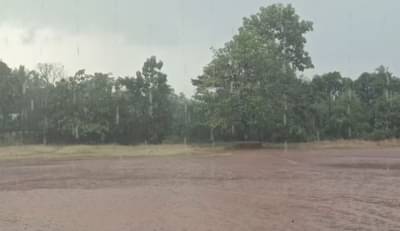 जळगावात अवकाळी पावसाची हजेरी; रब्बी पिकांचे नुकसान, शेतकरी पुन्हा संकटात