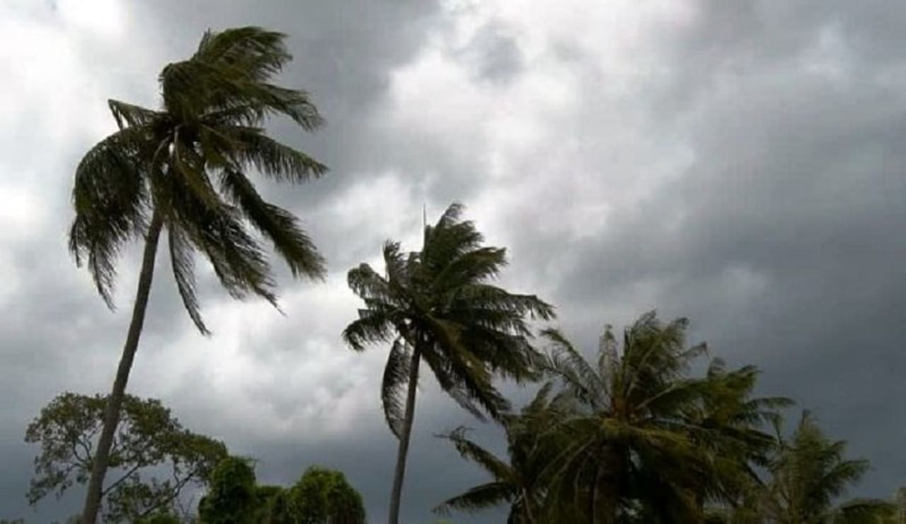 Weather Forecast : मुंबईत येत्या दोन दिवसात पावसाची शक्यता, ढगाळ वातावरणाचा अंदाज