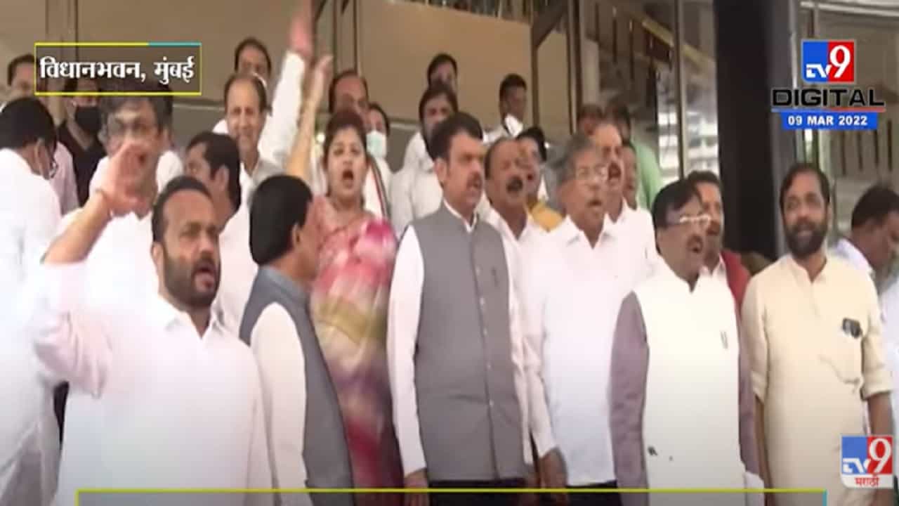 VIDEO : Nawab Malik कौन है? देश का गद्दार है, विधानभवनाच्या पायऱ्यांवर BJP ची घोषणाबाजी