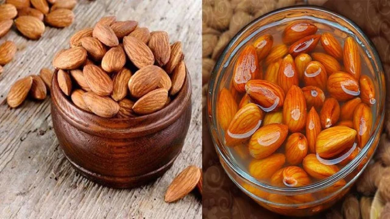Almond उन्हाळ्याच्या हंगामात भिजवलेले कि कच्चे बदाम खाणे फायदेशीर