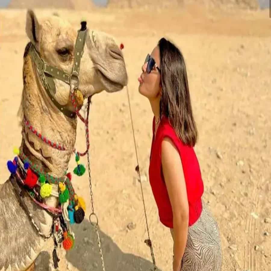प्रिंटेड पलाझो विथ रेड टॉप - हिना खानने या लुकसाठी ब्रीझी आणि लाइटवेट प्रिंटेड पलाझो पँट घातली आहे. हिना खानने त्यासोबतच शूज आणि सनग्लास घातला आहे. हिना खानचा हा लूक उन्हाळ्याच्या सुट्टीसाठी परफेक्ट आहे.