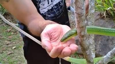 Viral video : रणरणत्या उन्हात तहानलेल्या सापाला तळहातात पाणी घेऊन पाजलं; पाहा, पुढे काय झालं?