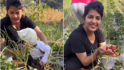 Video: या अनुभवाला तोड नव्हती..; वहिनीसाहेब धनश्रीच्या मुलाचा हा व्हिडीओ पाहिलात का?