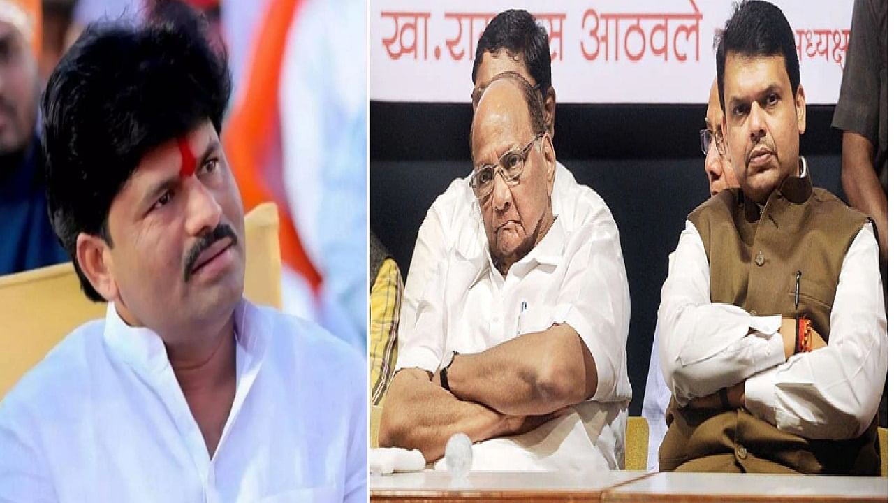 VIDEO | देवेंद्र फडणवीस 10-20 शरद पवार खिशात घालून फिरतात; भाजप नेते पडळकरांची बोचरी टीका VIDEO | देवेंद्र फडणवीस 10-20 शरद पवार खिशात घालून फिरतात; भाजप नेते पडळकरांची बोचरी टीका