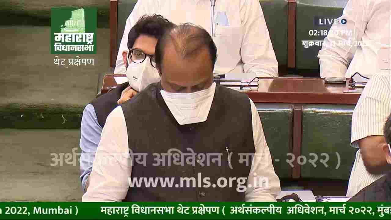 Maharashtra Budget : कोरोनानं महाराष्ट्राचा कणा ढिला केला, आरोग्य योजनांसाठी 10 मोठ्या घोषणा कोणत्या? Maharashtra Budget : कोरोनानं महाराष्ट्राचा कणा ढिला केला, आरोग्य योजनांसाठी 10 मोठ्या घोषणा कोणत्या?