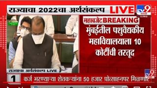 Maharashtra Budget 2022 : शिर्डी, रत्नागिरी, अमरावती, कोल्हापूर, गडचिरोली, विमानतळाची मोठी घोषणा