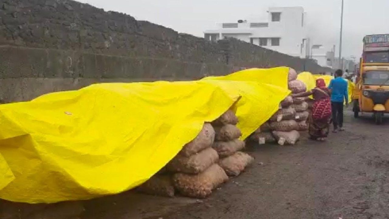 शेवटी नुकसानच : धावपळ करुन बाजारपेठ गाठली जे वावरात झालं नाही ते बाजार समितीमध्ये घडलं शेवटी नुकसानच : धावपळ करुन बाजारपेठ गाठली जे वावरात झालं नाही ते बाजार समितीमध्ये घडलं