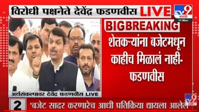Maharashtra Budget 2022 : कळसूत्री सरकारने पंचसूत्रीच्या माध्यमातून विकास पंचतत्वात विलीन केला, बजेटनंतर फडणवीस आक्रमक