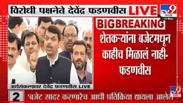 Maharashtra Budget 2022 : कळसूत्री सरकारने पंचसूत्रीच्या माध्यमातून विकास पंचतत्वात विलीन केला, बजेटनंतर फडणवीस आक्रमक