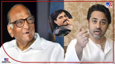 मला असा संशय येतो की पवार साहेबच दाऊदचा माणूस आहे! निलेश राणेंचं सिंधुदुर्गात विधान