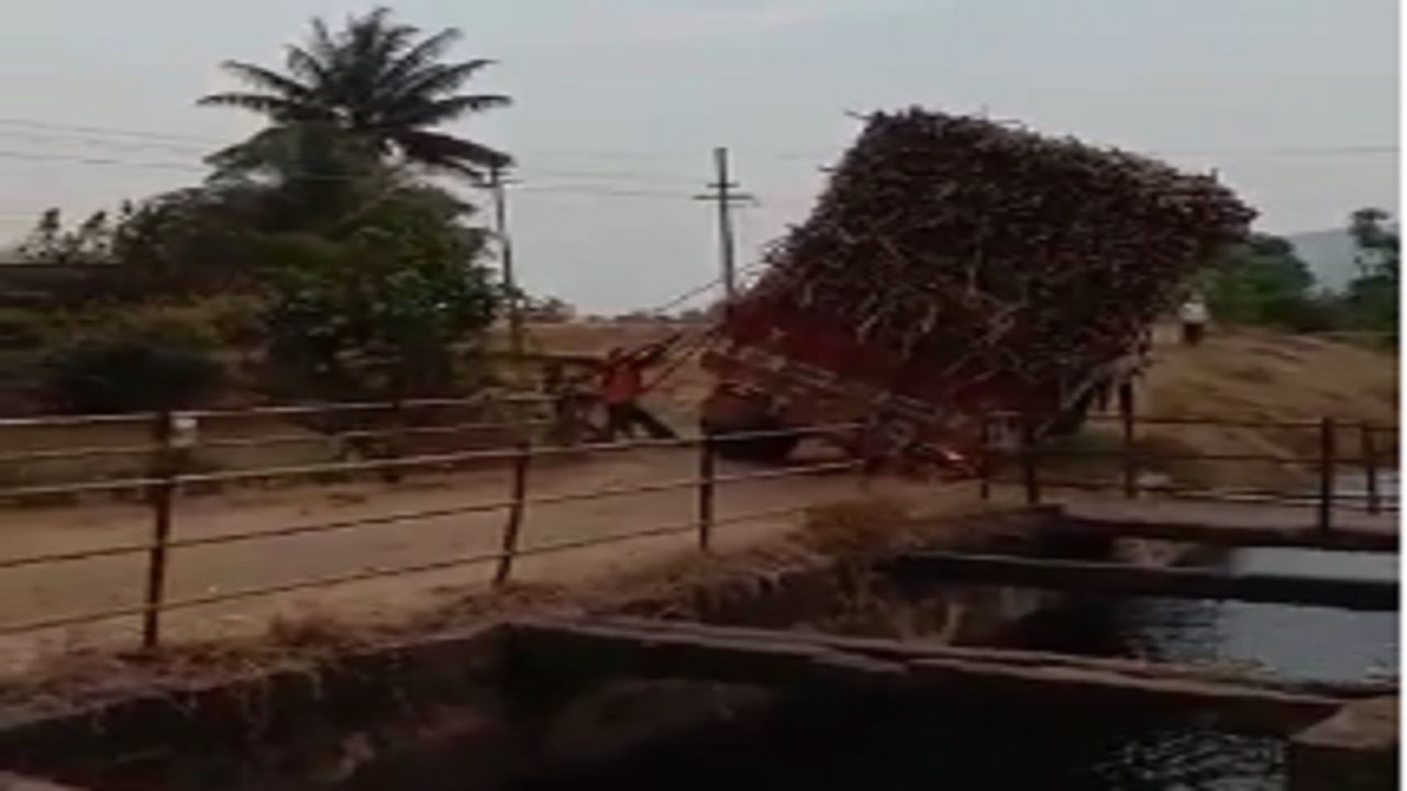 Video: गेला गेला गेला, ऐ सोड अन् गेला, उसानं ओव्हरलोड झालेला ट्रक कालव्यात कोसळतानाचा थरार कॅमेऱ्यात कैद