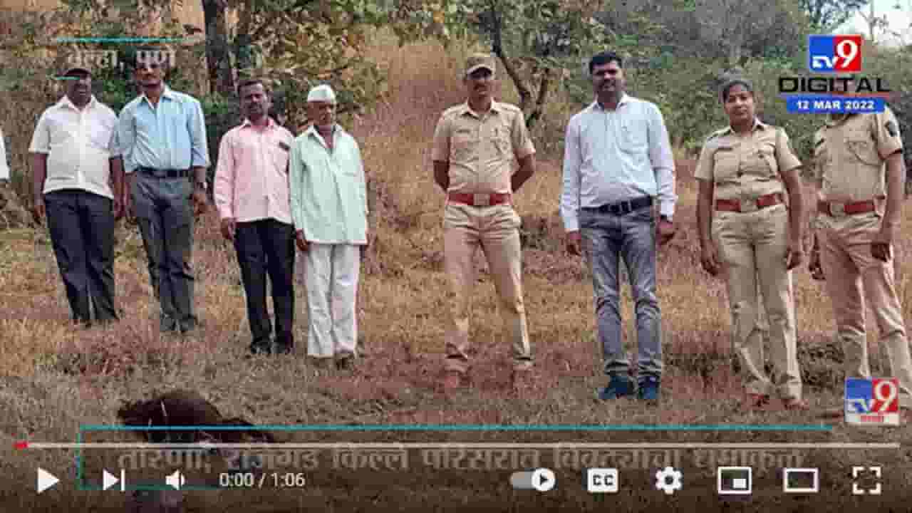 Torna, Rajgad किल्ले परिसरात बिबट्यांचा धुमाकूळ, नागरिकांमध्ये भीतीचे वातावरण Torna, Rajgad किल्ले परिसरात बिबट्यांचा धुमाकूळ, नागरिकांमध्ये भीतीचे वातावरण