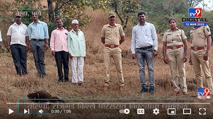 Torna, Rajgad किल्ले परिसरात बिबट्यांचा धुमाकूळ, नागरिकांमध्ये भीतीचे वातावरण Torna, Rajgad किल्ले परिसरात बिबट्यांचा धुमाकूळ, नागरिकांमध्ये भीतीचे वातावरण