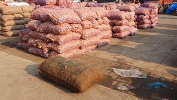 Onion Market :आता उलटी गणती सुरु, महिन्यातच बदलले कांदा Market, उन्हाळी कांदा काढणीला पण करायचे काय?