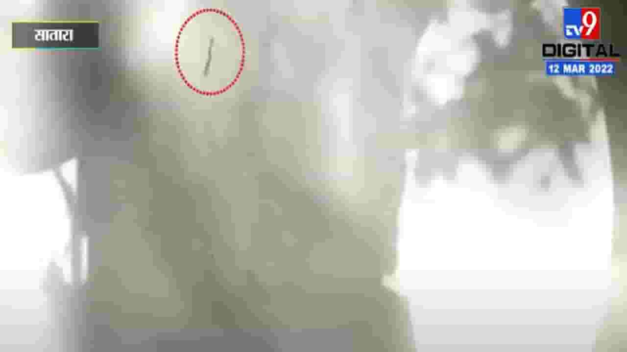 साताऱ्यातील मापरवाडी गावात पिण्याच्या पाण्यात अळ्या साताऱ्यातील मापरवाडी गावात पिण्याच्या पाण्यात अळ्या