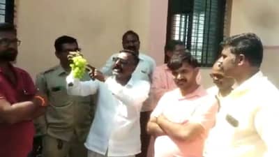 महावितरणचा शॉक फळबागांनाही, अस्मानी संकटानंतर आता सुल्तानी संकटाशी सामना