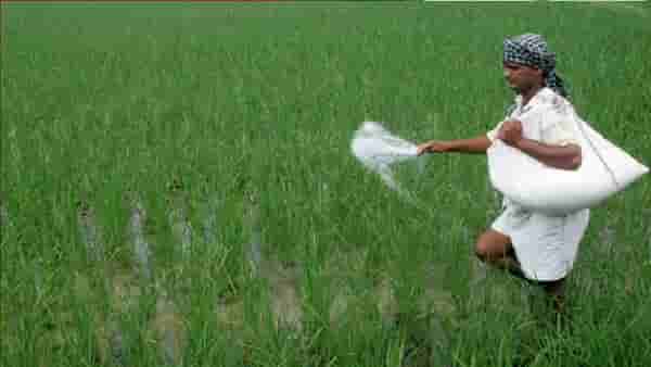 Kharif Season : खरिपात खत टंचाई अटळ, आता युरिया उत्पादनात वाढ हाच पर्याय..!