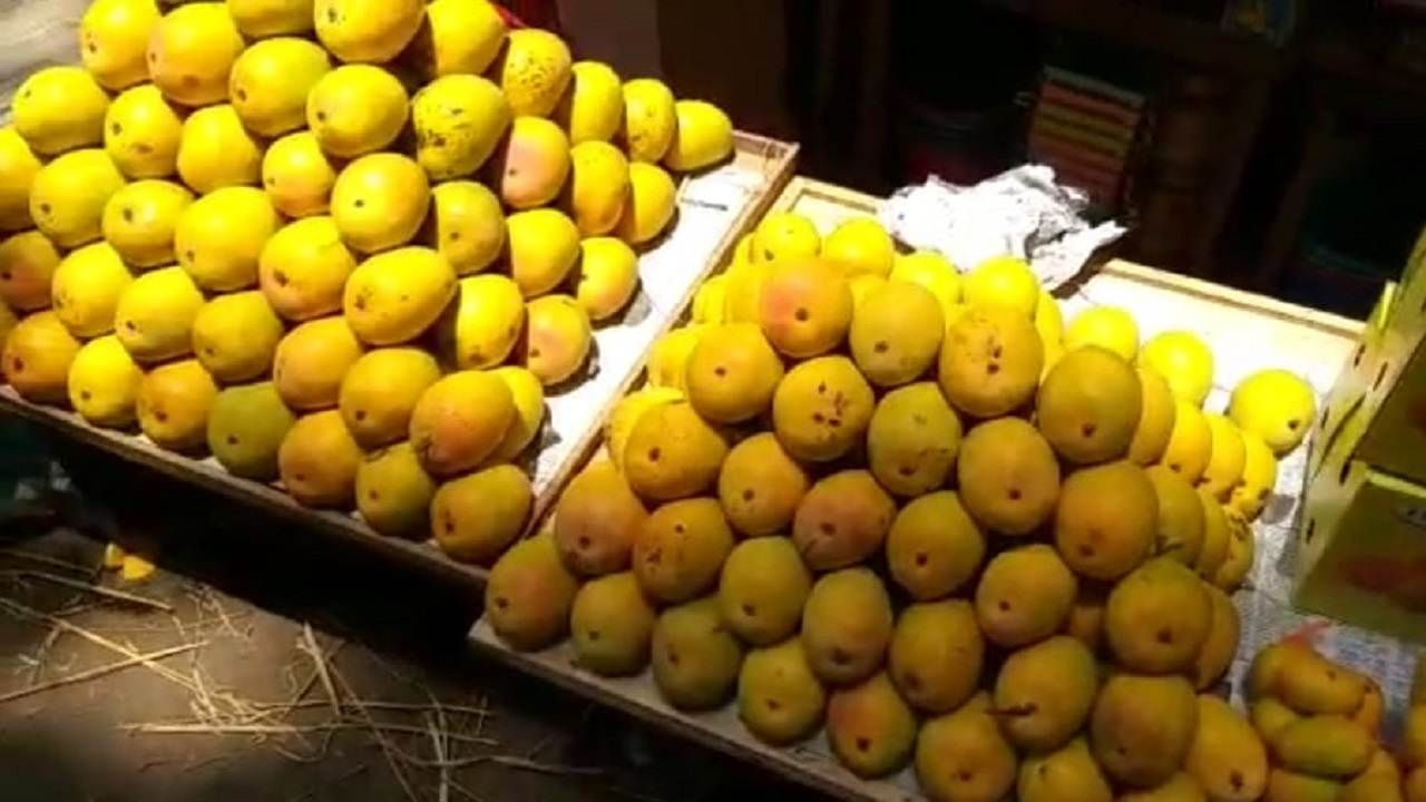 Mango : फळांच्या राजा यंदा निसर्गाच्या कचाट्यात, उत्पादन घटल्याने चवही महागणार