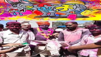 बापरे! होळीच्या दिवशी जावयाची गाढवावरून धिंड, महाराष्ट्रातल्या गावातली 80 वर्ष जुनी परंपरा