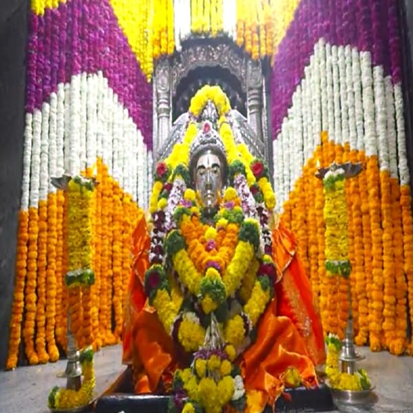 आज आमलकी एकादशी फाल्गुन (Falgun) महिन्याच्या शुक्ल पक्षातील एकादशी तिथीला अमलकी एकादशी (Amalaki Ekadashi 2022 ) म्हणतात . याला आवळा एकादशी असेही म्हणतात . या दिवशी भगवान विष्णूच्या पूजेसोबत आवळ्याच्या झाडाचीही पूजा केली जाते.