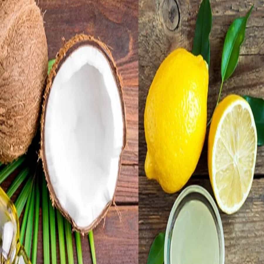 लिंबू आणि नारळ: तुम्हाला दोन चमचे खोबरेल तेलात लिंबाच्या सालीची पावडर मिसळावी लागेल आणि ते तुमच्या आयब्रोवर लावावे लागेल. रात्री झोपण्यापूर्वी लावा आणि काही वेळाने धुवा.