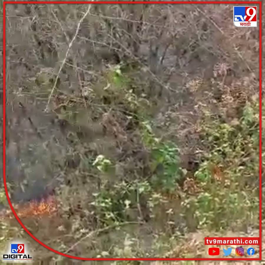 सोमवारी सायंकाळी ही आग जंगलाच्या चारही बाजूला पसरली. 
