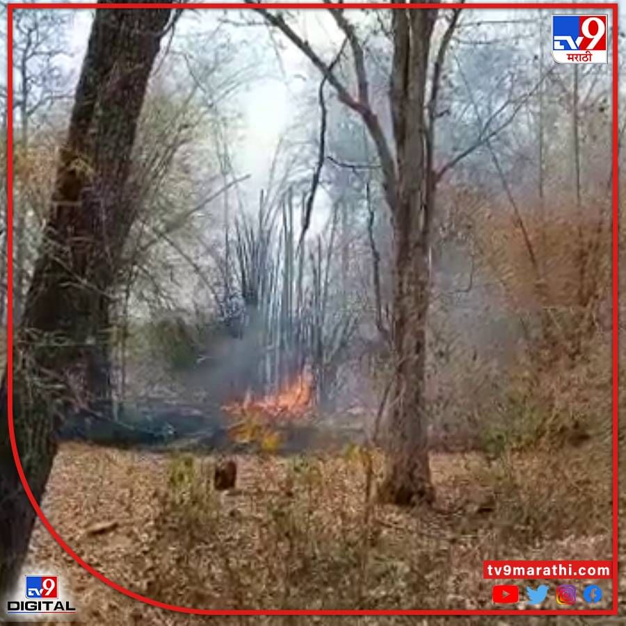 असरअली वनपरिक्षेत्र अंतर्गत असरअली पासून पातगुडमपर्यंत रिझर्व फॉरेस्ट प्रतिबंधित क्षेत्र जंगलासाठी ओळखला जातो.