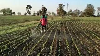 अवकाळी, ढगाळ वातावरणानंतर आता उन्हाच्या झळा, मराठवाड्यात मात्र कोरडे वातावरण