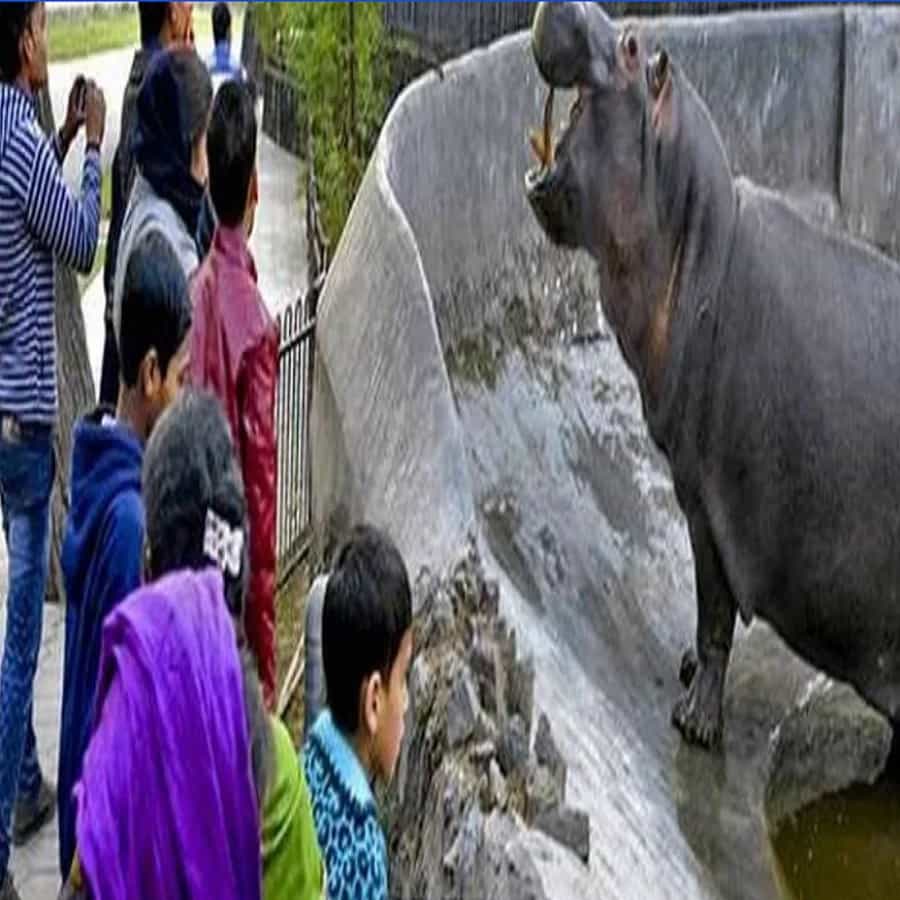 दिल्ली प्राणीसंग्रहालय : दिल्ली प्राणीसंग्रहालय आशियातील सर्वात मोठ्या प्राणीसंग्रहालयांपैकी एक आहे. 1959 मध्ये हे प्राणीसंग्रहालय बांधले गेले आहे. या प्राणीसंग्रहालयात एक लायब्ररीही आहे, जिथे प्राणी आणि वनस्पतींची माहिती आहे.