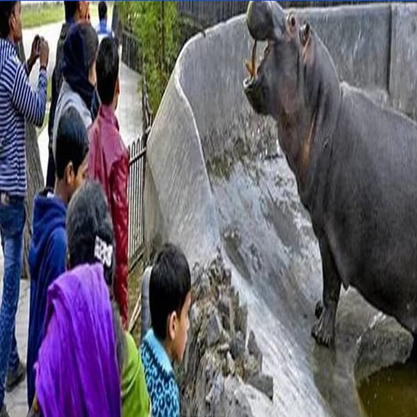 दिल्ली प्राणीसंग्रहालय : दिल्ली प्राणीसंग्रहालय आशियातील सर्वात मोठ्या प्राणीसंग्रहालयांपैकी एक आहे. 1959 मध्ये हे प्राणीसंग्रहालय बांधले गेले आहे. या प्राणीसंग्रहालयात एक लायब्ररीही आहे, जिथे प्राणी आणि वनस्पतींची माहिती आहे.