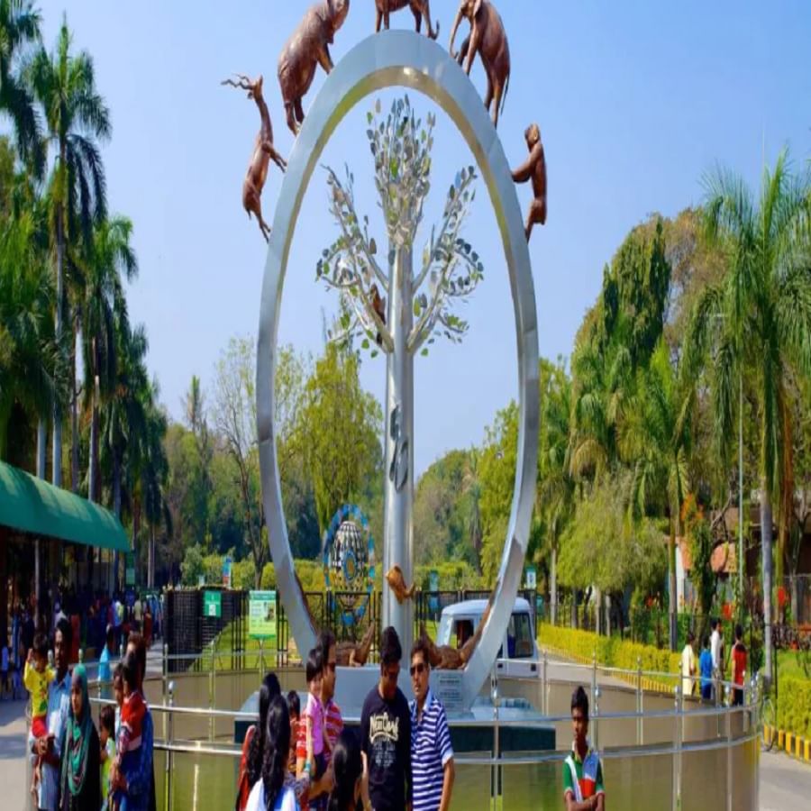 हैदराबाद प्राणीसंग्रहालय: याला नेहरू जिओलॉजिकल पार्क असेही म्हणतात. असे म्हटले जाते की ते 380 एकरमध्ये पसरलेले आहे आणि 1963 मध्ये हे बांधले गेले आहे. 