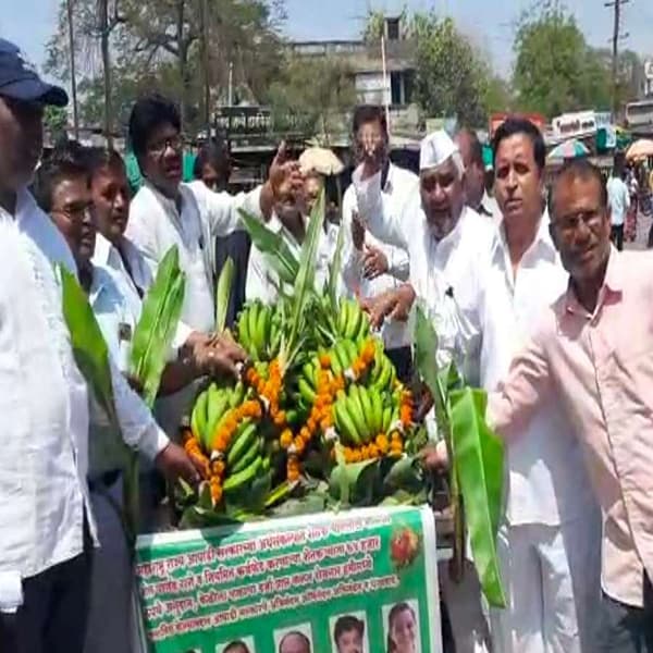 लढ्याला यश : जळगाव जिल्ह्यातील केळीची उत्पादकता आणि वाढते क्षेत्र पाहता केळीला पिकाचा दर्जा मिळावा यासाठी केळी उत्पादक शेतकऱ्यांनी अनेक आंदोलने केली होती. केळीला फळाचा दर्जा नसल्यामुळे अस्मानी संकटात केळीच्या नुकसानाची भरपाई देखील अल्प प्रमाणात मिळत होती त्यामुळे गेल्या अनेक वर्षापासून केळीला फळाचा दर्जा मिळावा ही मागणी प्रलंबित होती.