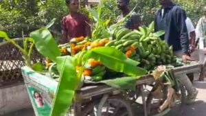 Photo Gallery : सरकार निर्णयाचे 'असे' हे स्वागत, जळगावात केळीच्या खोडाचे पूजन अन् जंगी मिरवणूक