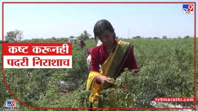 ...म्हणे महिला शेतकरी सन्मान वर्ष, सन्मान सोडाच- शेतकरी महिलेच्या कष्टाचीही कदर नाही..!