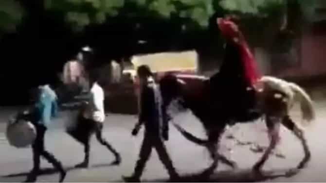 VIDEO : अजब लग्नाची गजब गोष्ट, वरात पाहून लोक म्हणतात हेच आहे आयुष्याचे सत्य!