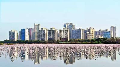 CIDCO : घराचं स्वप्न पाहणाऱ्यांसाठी खास बातमी, सिडकोच्या 6 हजार 508 घरांची सोडत, वाचा योजनेसह महत्वाच्या तारखा