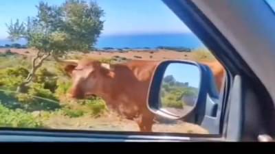 GoogleMapsच्या आधी असे शोधले जायचे रस्ते, Funny video पाहून म्हणाल, क्या टायमिंग है!