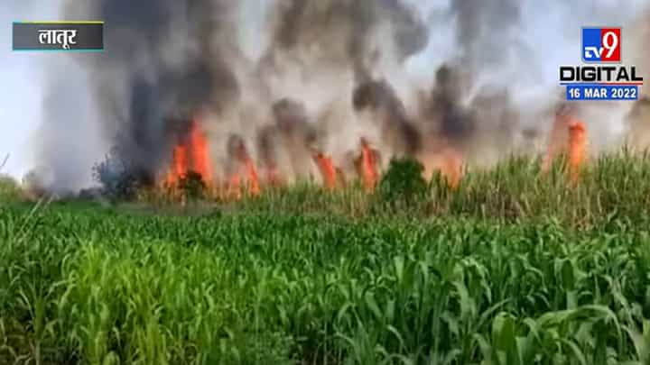 लातूरमध्ये 20 एकर ऊसाला आग, शेतकऱ्याचं मोठं नुकसान लातूरमध्ये 20 एकर ऊसाला आग, शेतकऱ्याचं मोठं नुकसान