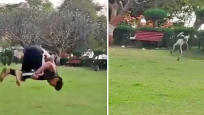 तुम्हाला जमेल का असं करायला? माकडाचा हा Funny video viral