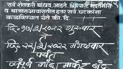 Holi Festival : सणामुळे राज्यातील मुख्य बाजार समित्यांचे व्यवहार राहणार बंद, शेतीमालाचे काय?