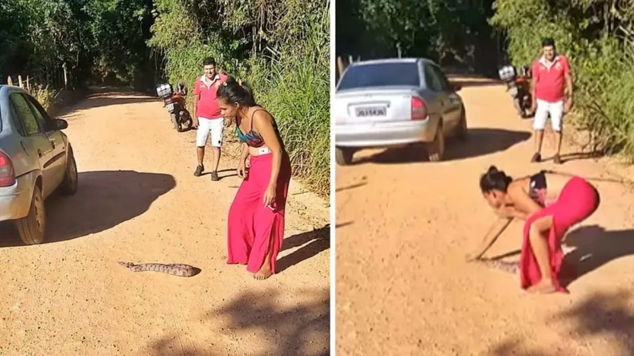 तरुणीचं धाडस! सापाला उचलून रस्त्याच्या कडेला सोडलं, Video viral