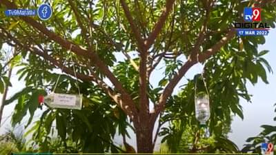 गोंदियामध्ये टाकाऊ वस्तूंपासून तयार केली पक्षांसाठी पाणपोई