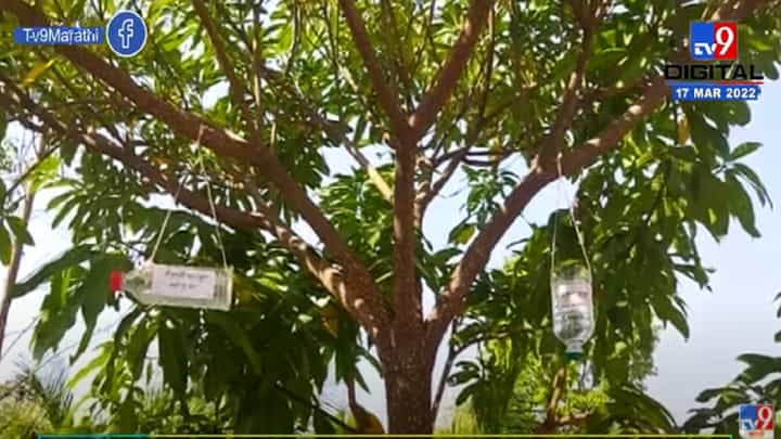 गोंदियामध्ये टाकाऊ वस्तूंपासून तयार केली पक्षांसाठी पाणपोई गोंदियामध्ये टाकाऊ वस्तूंपासून तयार केली पक्षांसाठी पाणपोई