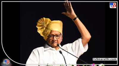 Sharad Pawar : भाजपला राज्यात पुन्हा येऊ देणार नाही, शरद पवारांची गर्जना; युवा आमदारांनाही कामाला लागण्याचे आदेश