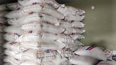 Kharif Season : रशिया-युक्रेन युध्दाचा परिणाम थेट शेतकऱ्यांच्या बांधापर्यंत, आता योग्य नियोजन हाच पर्याय!