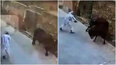शांतपणे उभा होता ना बैल, काठीनं मारण्याची काय गरज होती? कसा शिकवला आजोबांना धडा? पाहा Viral video