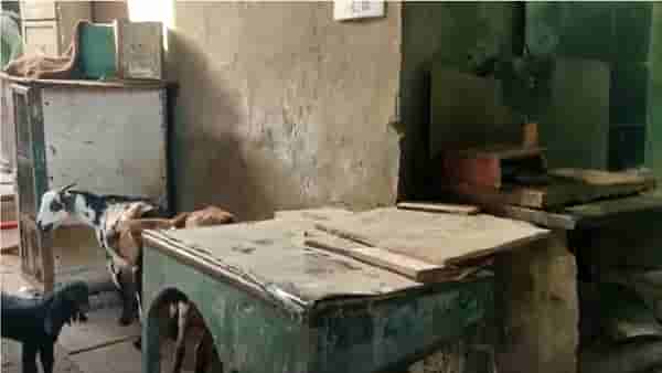 मुंबईत पुरी भाजी विक्रेत्याचं ग्राहकाशी भांडण, लहान मुलीसह दोघांवर उकळतं तेल फेकलं