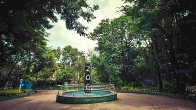 Pune : पर्यटकांची प्रतीक्षा अखेर संपली, नव्या पाहुण्यांसह Rajiv Gandhi Zoological Park उद्यापासून होणार खुलं!