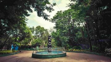 Pune Zoo| पुण्यात कात्रजची बाग फुलली ; प्राणी संग्रहालयाला 12 हजार पर्यटकांनी दिली भेट